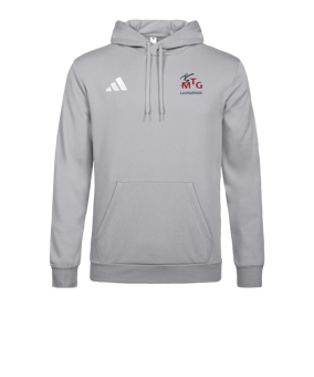 adidas Entrada 26 Hoody Grau