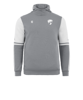 adidas Squadra 25 Hoody Grau