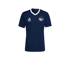 adidas Entrada 22 Trikot Kids Blau