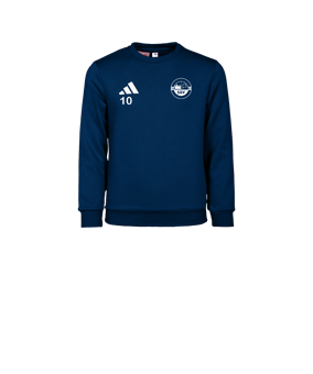 adidas Entrada 26 Sweatshirt Kids Blau