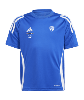 adidas Tiro 24 Trikot Kids Blau Weiss 