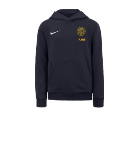 Nike Park 20 Fleece Hoody Kids Blau Weiss F451