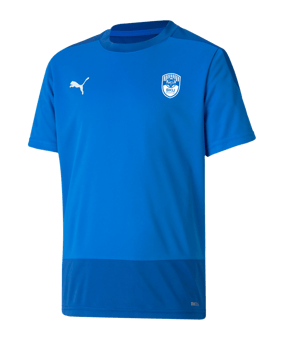 PUMA SKU Amstetten Trainingsshirt Kids Blau F02 - blau