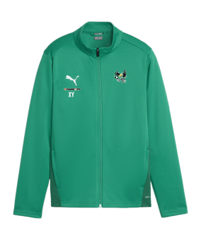 PUMA teamGOAL Trainingsjacke Kids Grün F05