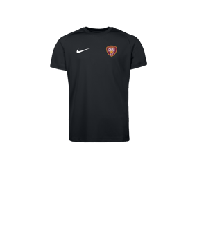 Nike Park VIII Maillot Enfants Noir C010