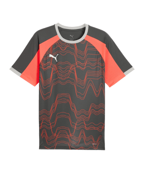 PUMA Individualliga Graphic Trikot Grau F10 - grau