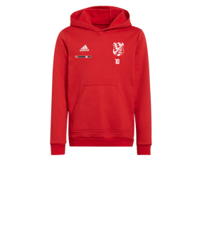 adidas Entrada 22 Hoody Kids Rot