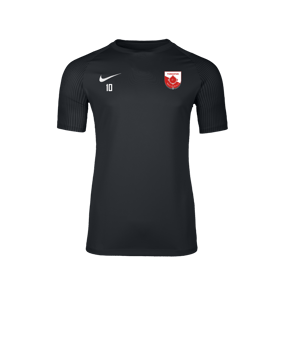 Nike Academy II Trikot Schwarz F010