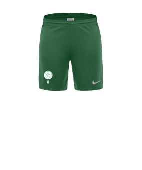 Nike Park III Court Vert C302 