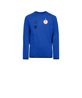 adidas Tiro Travel Sweatshirt Kids Blau
