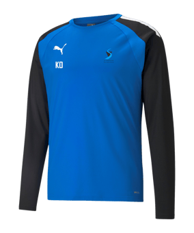 PUMA teamLIGA Trainig Sweatshirt Blau F02