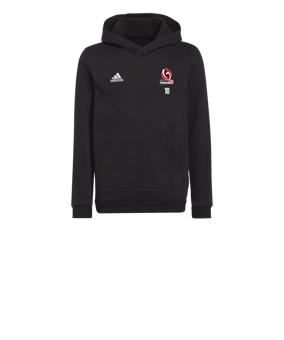 Sweat à capuche enfant adidas Entrada 22 Noir 