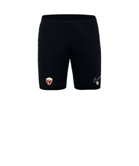 Short Nike Academy 25 noir F010 
