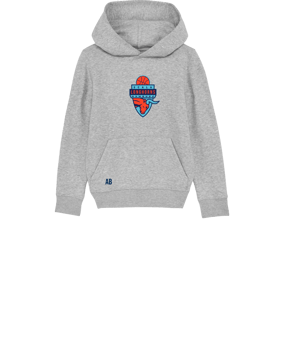 Merch Mini Cruiser 2.0 Hoody Kids H. Grey | #scalalogo (bunt/groß)