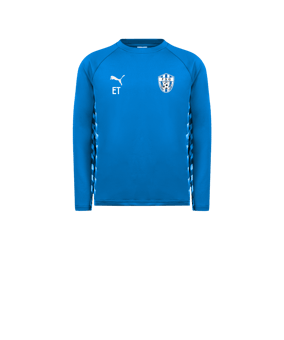 PUMA teamLIGA26 Training Sweatshirt Kids Blau F02