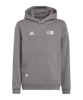 adidas Entrada 22 Hoody Kids Grau