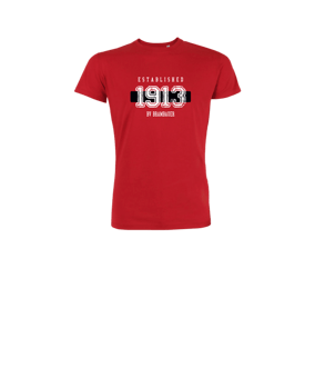 Merch Mini Creator 2.0 T-Shirt Kids Red | #established