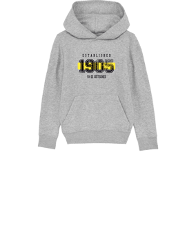 Merch Mini Cruiser 2.0 Hoody Kids H. Grey | #established