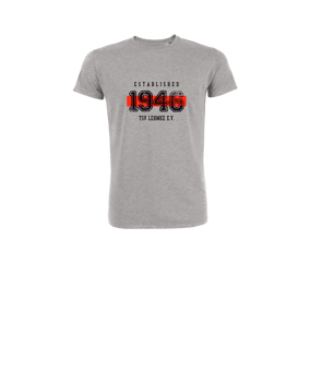 Merch Mini Creator 2.0 T-Shirt Kids Heather Grey | #established