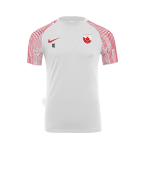 Nike Academy Trikot Weiss Rot F100