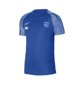 Nike Academy Trikot Blau Weiss F463