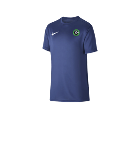 Nike Park VII Trikot kurzarm Kids Blau F410