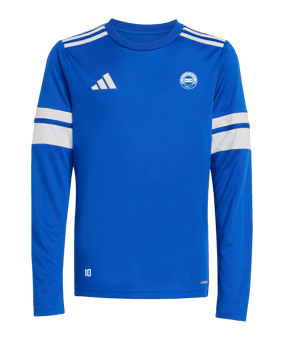 adidas Squadra 25 Trikot Langarm Kids Blau