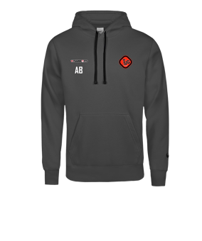 Nike Park 26 Swoosh Hoody Grau F063