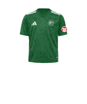 adidas Team Icon 25 Trikot Kids Grün