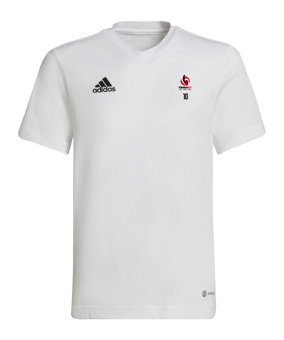 T-shirt enfants adidas Entrada 22 blanc 