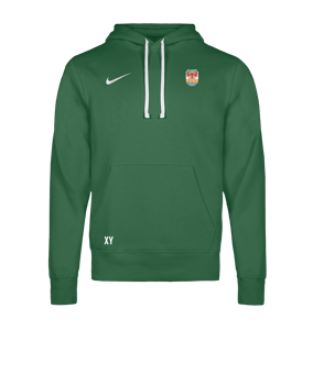 Nike Park 26 Hoody Grün F302