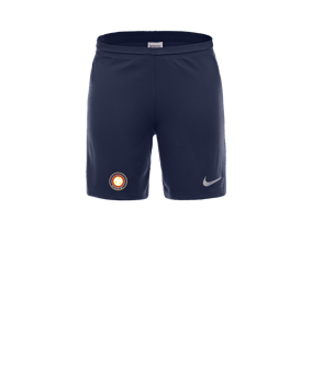 Nike Park III Court Bleu C410 