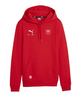 PUMA teamGOAL Casuals Hoody Damen Rot F01