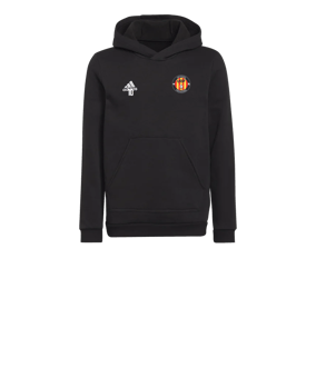 Sweat à capuche enfant adidas Entrada 22 Noir 