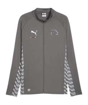 PUMA teamLIGA26 Trainingsjacke Grau F13