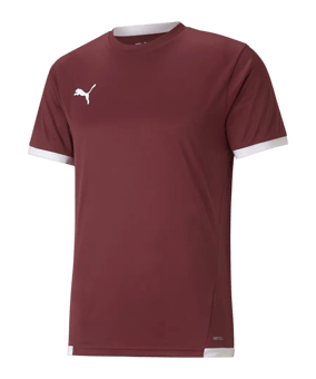 PUMA teamLIGA Trikot Rot F09 - rot
