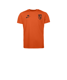 Nike Park VIII Trikot Kids Orange F819