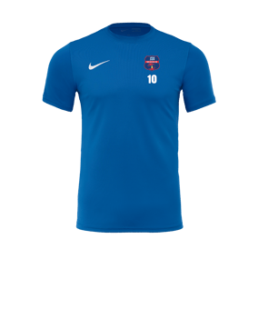 Nike Park VII Trikot kurzarm Blau F463