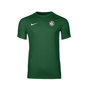 Nike Park VIII Trikot Grün F302