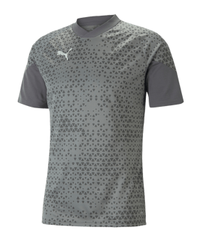 PUMA teamCUP Trainingsshirt Grau F13 - grau