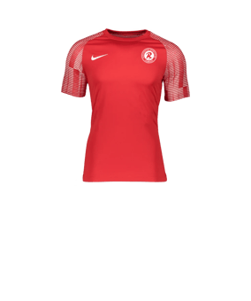 Nike Academy Trikot Kids Rot Weiss F657