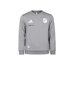 adidas Entrada 26 Sweatshirt Kids Grau