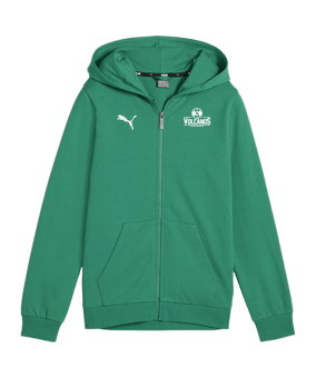 PUMA teamGOAL Casuals Kapuzenjacke Kids Grün F05