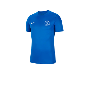 Nike Park VII Trikot kurzarm Kids Blau F463