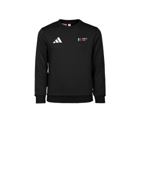 adidas Entrada 26 Sweatshirt Kids Schwarz