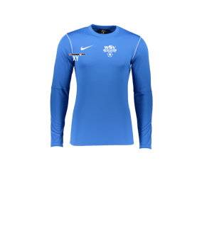 Nike Park 20 Sweatshirt Kids Blau Weiss F463