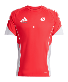 adidas Tiro 25 Competition Trikot Rot Grau