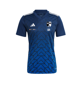adidas Team Icon 23 Trikot Blau