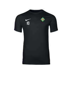 Nike Park VIII Trikot Schwarz F010