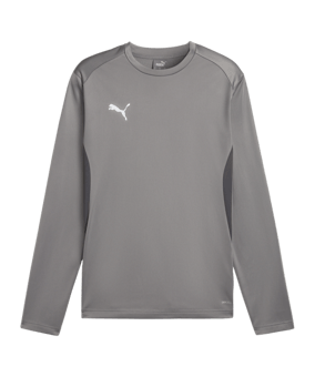 PUMA teamGOAL Training Sweatshirt Grau F13 - grau